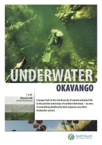 Постер фильма: Подводный мир Окаванго