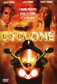 Постер фильма: Циклон