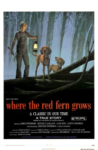 Постер фильма: Цветок красного папоротника