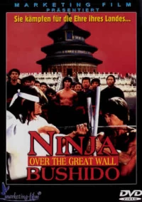 Постер фильма: Ниндзя на Великой стене