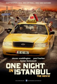 Постер фильма: Одна ночь в Стамбуле