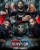 WWE Survivor Series WarGames