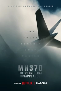 Постер фильма: MH370: Самолёт, который исчез