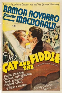Постер фильма: Кот и скрипка