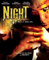 Постер фильма: Ночь