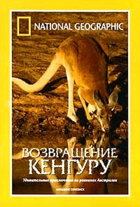 Постер фильма: National Geographic: Возвращение кенгуру
