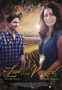Постер фильма: Любовь в винограднике