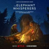 Постер фильма: Заклинатели слонов