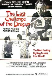 Постер фильма: Последний вызов дракона
