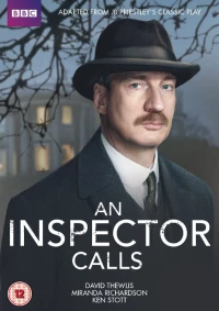 Постер фильма: Визит инспектора