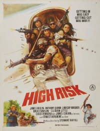 Постер фильма: Высший риск
