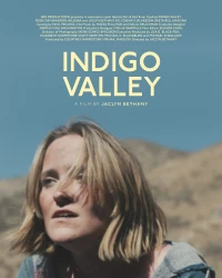 Постер фильма: Долина индиго