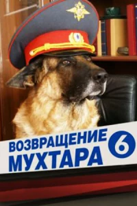 Постер фильма: Возвращение Мухтара 6