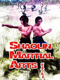Постер фильма: Боевые искусства Шаолиня