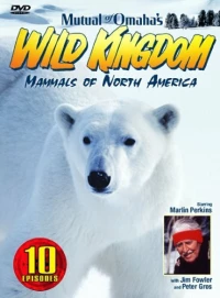 Постер фильма: Царство животных