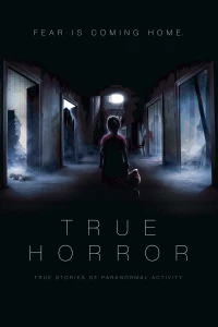 Постер фильма: True Horror