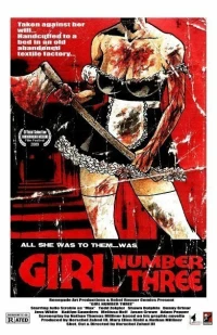 Постер фильма: Girl Number Three