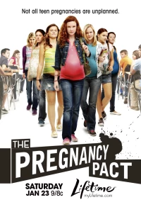 Постер фильма: Договор на беременность