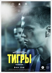 Постер фильма: Тигры