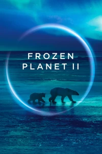 Постер фильма: BBC: Замерзшая планета 2