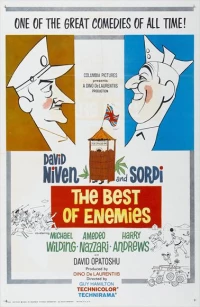Постер фильма: Лучшие враги