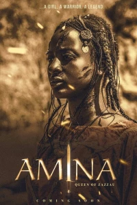 Постер фильма: Амина