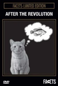 Постер фильма: После революции