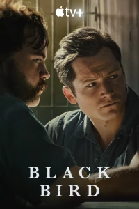 Постер фильма: Чёрная птица