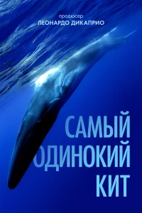 Постер фильма: Самый одинокий кит
