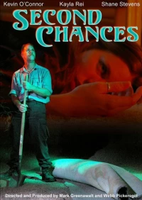 Постер фильма: Second Chances