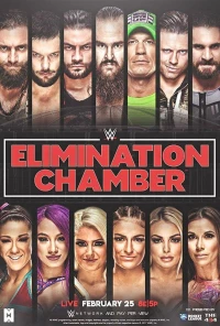 Постер фильма: WWE Камера ликвидации