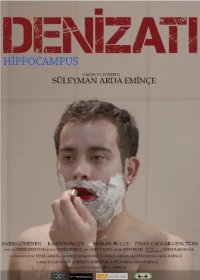 Постер фильма: Denizati