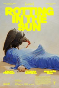 Постер фильма: Истлевший на солнце