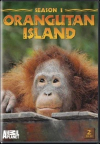 Постер фильма: Остров орангутанов