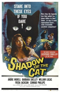 Постер фильма: Тень кошки
