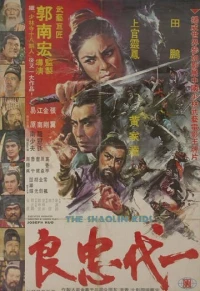 Постер фильма: Бойцы Шаолиня