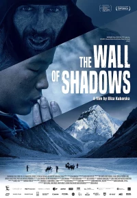 Постер фильма: Стена теней