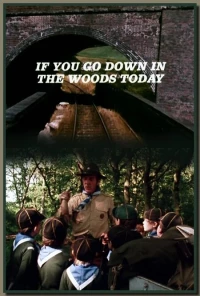 Постер фильма: Если ты собрался в лес