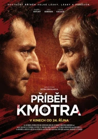 Постер фильма: Príbeh kmotra