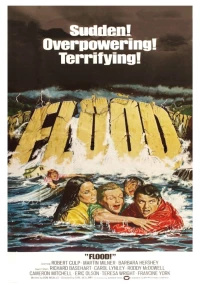 Постер фильма: Наводнение!