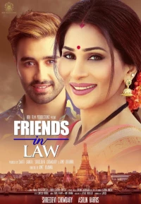 Постер фильма: Friends In Law